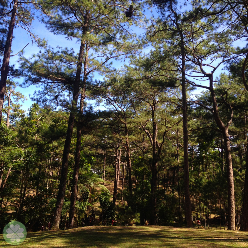 Baguio 2014_4